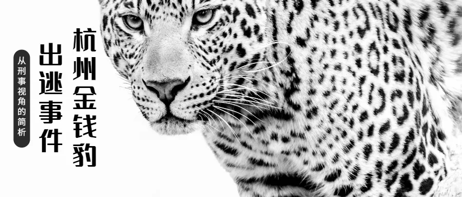 1624866020874627.jpg 640.webp.jpg